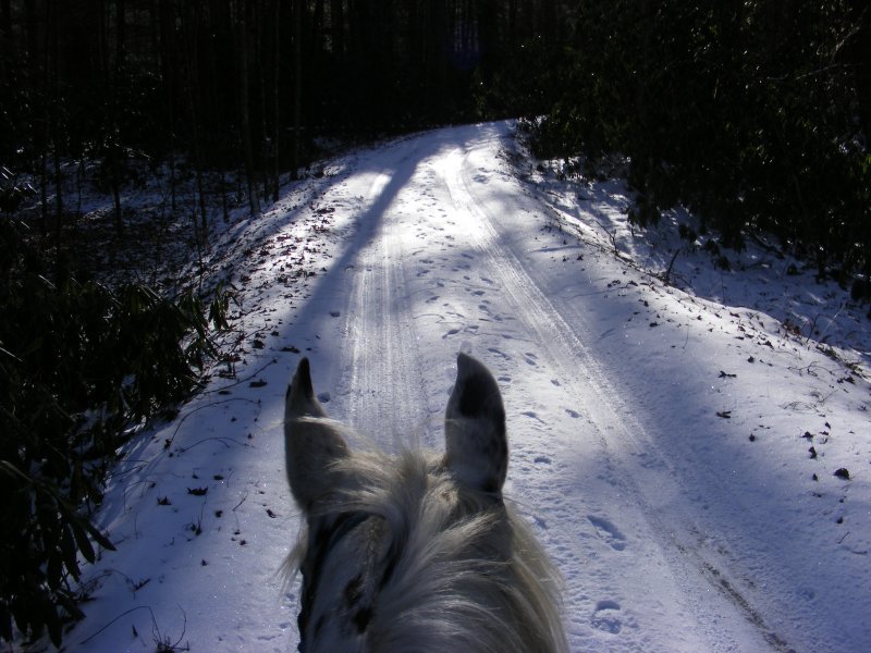 Snowy ride
